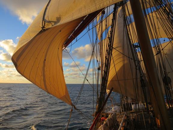 Zeilen en tuigage van de Europa in warm avondlicht