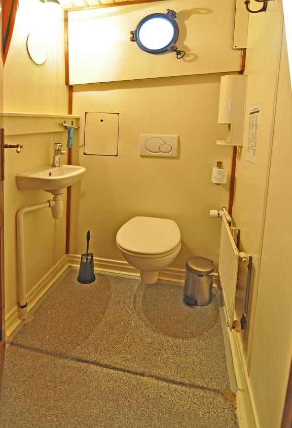 Toilet en wastafel in de badkamer van de Chateauroux