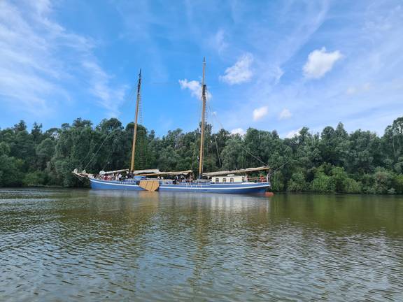 De Hester met gestreken zeilen langs een groene oever
