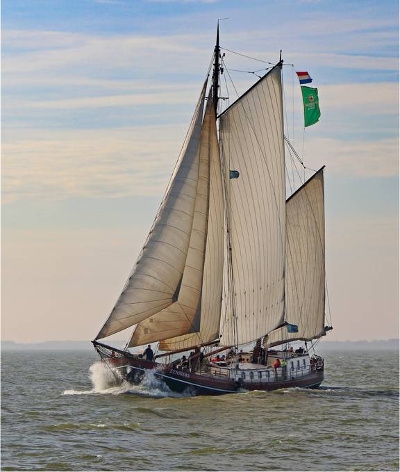 Eenhoorn onder zeil met opspattend boegwater