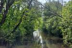 Watergang tussen bomen in de Weerribben-Wieden