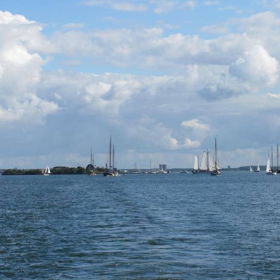 Gouwzee