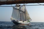 BootBootBoot schoener Luciana zeilen