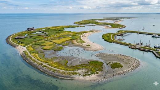 Luchtfoto van de eilanden, kreken en zandbanken van de Marker Wadden