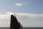 Medusa met bruine zeilen in het zonlicht op open water