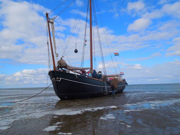 Onverwacht drooggevallen Wadden