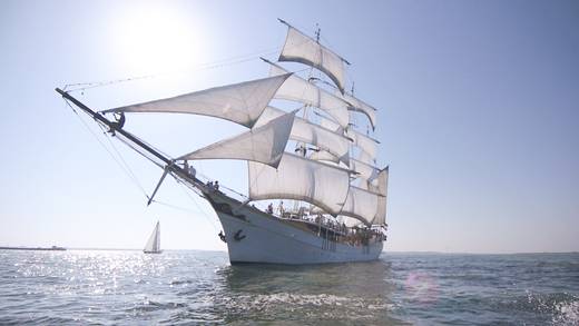 Driemaster Stedemaeght onder zeil op zee