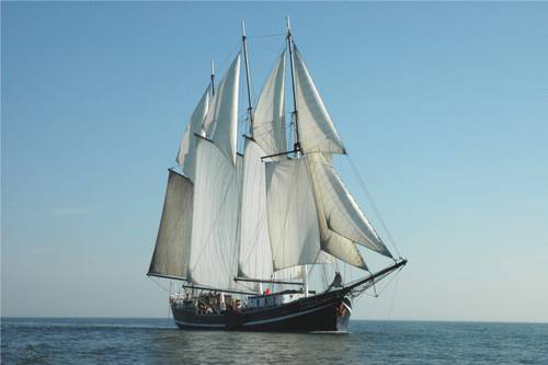 BootBootBoot 2-master Vrijheid