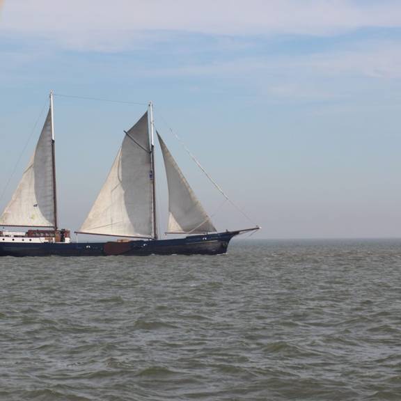 't Wapen fan Fryslân