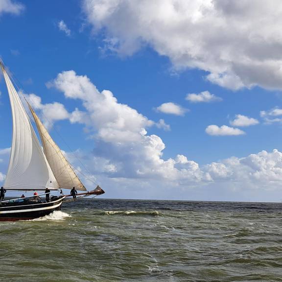 Waterman