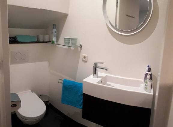 Badkamer van de Wilhelmina met toilet en wastafel