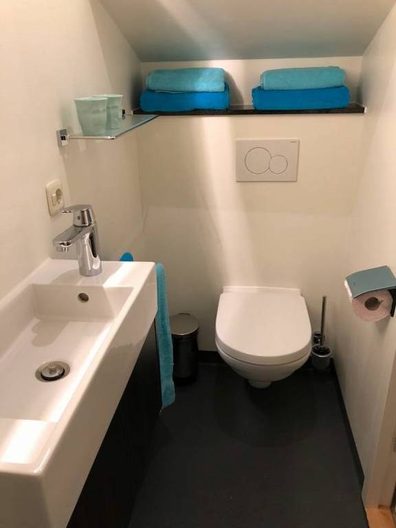 Badkamer van de Wilhelmina met toilet en wastafel