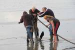 BootBootBoot tjalk Linquenda teambuilding