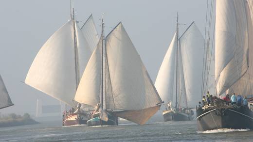 Traditionele zeilschepen varen dicht bij elkaar tijdens een zeilwedstrijd
