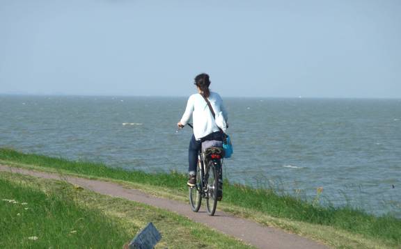 Fietser rijdt over een dijk langs het water