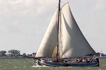 Volharding