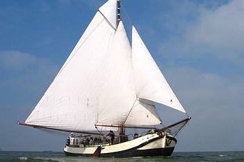 De Lis